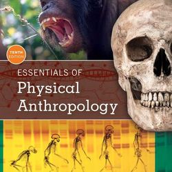 Essentials of Physical Anthropology 10th Edition Jurmain Test Bank