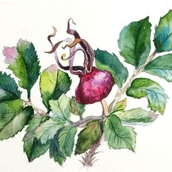 Rose hip painting original watercolor art fruit plant artwork