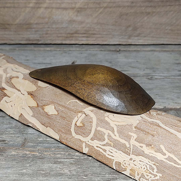 wooden-pocket-spoon.jpg