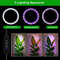 Height Adjustable LED Ring Grow Light Full Spectrum Plant Light for Indoor Plants with USB Power