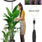 Height Adjustable LED Ring Grow Light Full Spectrum Plant Light for Indoor Plants with USB Power