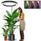 Height Adjustable LED Ring Grow Light Full Spectrum Plant Light for Indoor Plants with USB Power