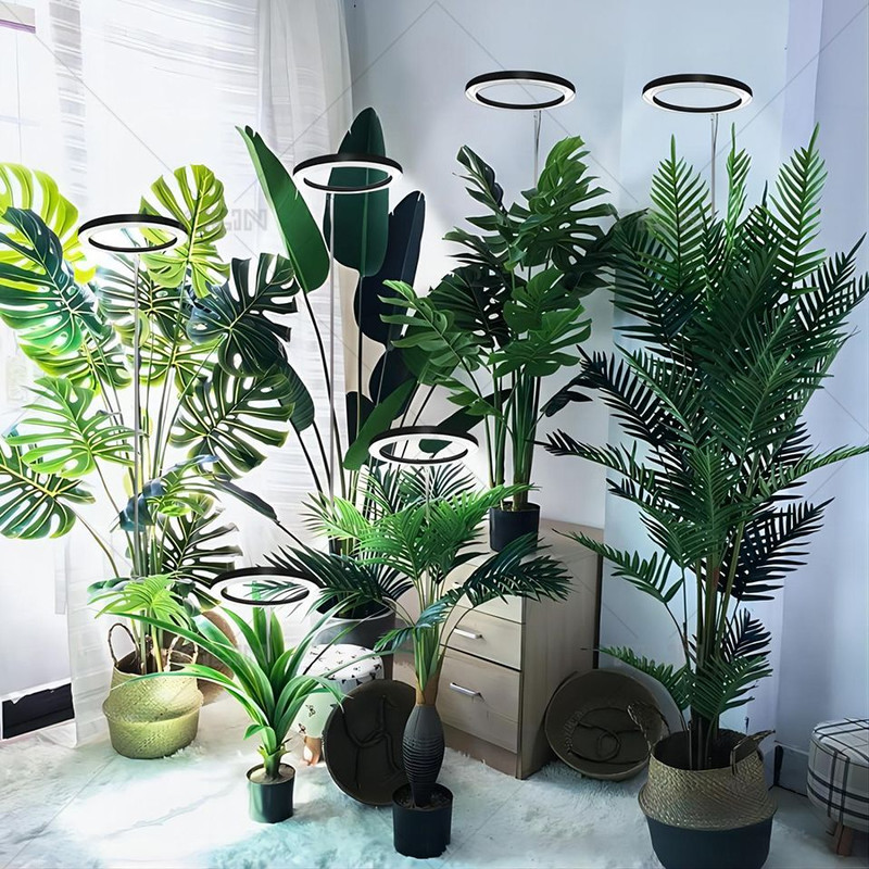 Height Adjustable LED Ring Grow Light Full Spectrum Plant Light for Indoor Plants with USB Power