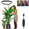 Height Adjustable LED Ring Grow Light Full Spectrum Plant Light for Indoor Plants with USB Power