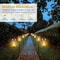 Waterproof Solar Light Outdoor With Flashing Flame 12LED Solar Flashlight Christmas Garden Decorati 2