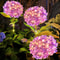 Waterproof Solar Garden Lights Outdoor, LED Hydrangea Flower Light, Courtyard Villa Lawn Landscape Lighting Lamp