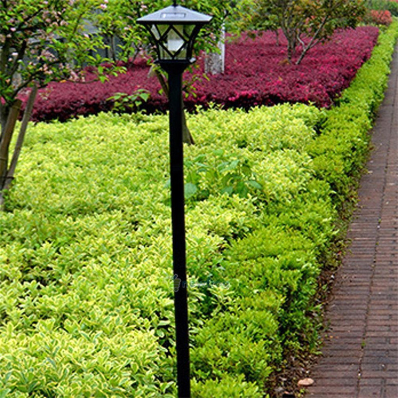 Solar Lamp Post Light for Garden, Decorative Outdoor Floor Lamp for Backyard, Porch, Front and Back Door Lighting