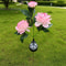 Waterproof Solar Garden Lights 3 Head Peony Flowers, Outdoor Pathway Pink Lamps for Yard, Lawn Christmas Decor