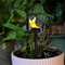 LED Solar Outdoor Resin Bird Light for Lawn, Ground Insertion Courtyard Garden Animal Decor Landscape Yard Lighting