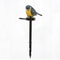 LED Solar Outdoor Resin Bird Light for Lawn, Ground Insertion Courtyard Garden Animal Decor Landscape Yard Lighting