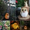 Outdoor Solar Owl Garden Lights, Waterproof Owl Decorative Statue for Pathway, Lawn Ornaments, Yard Decorations, Garden