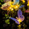Solar Butterfly Lights Outdoor, Fiber Optic Garden Decoration, Waterproof Yard Wedding Path Light