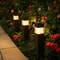 Waterproof Solar Courtyard Garden Landscape Lights, Outdoor Lawn Night Lights, Decorative Ground Plug Lamps for Yard