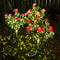 Azalea Flowers Outdoor Solar Waterproof Lights, LED Solar Powered Garden Lights, Summer Lawn Pathway Decoration