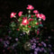 Azalea Flowers Outdoor Solar Waterproof Lights, LED Solar Powered Garden Lights, Summer Lawn Pathway Decoration