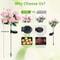 Outdoor Solar Flower Light Camellia Buds, Garden Flower Lights, Decorative Yard Patio Path Lawn Lamp
