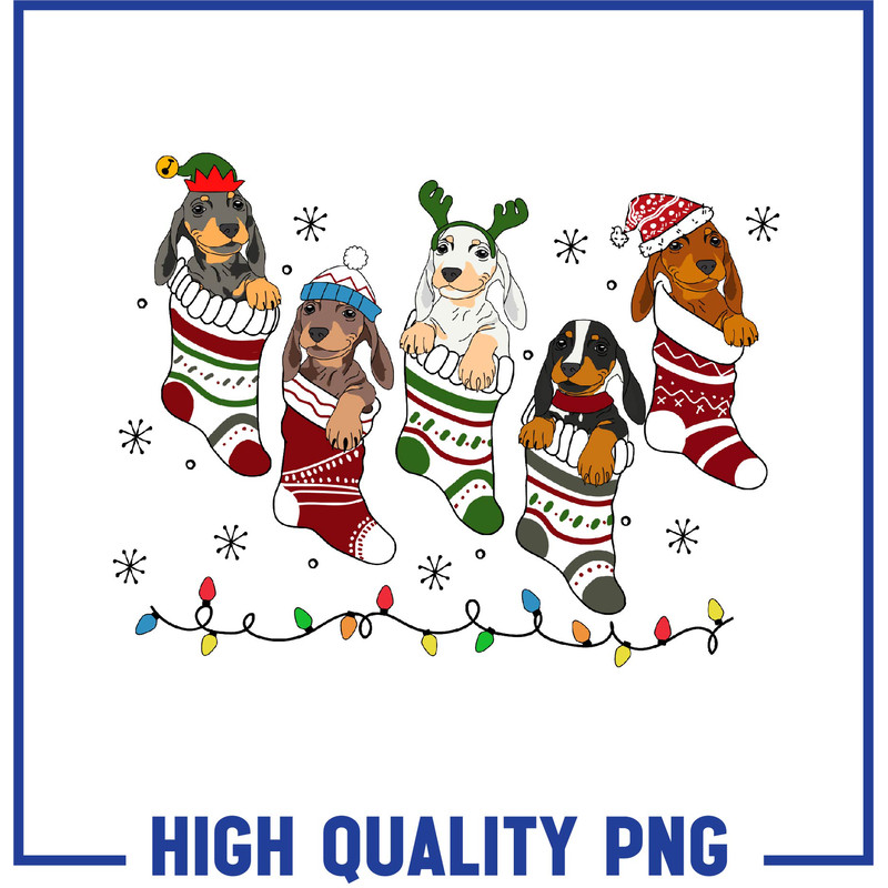 RazaDrageStore (1).jpg