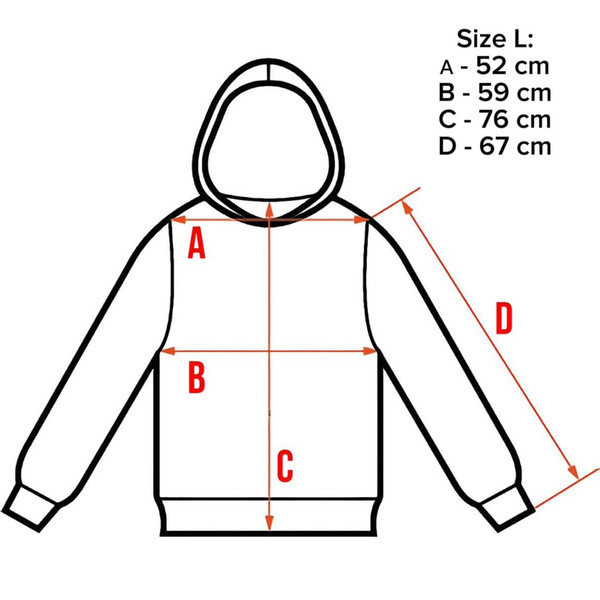 hoodie  (2).jpg