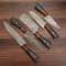 Savor-the-Flavor BM-5014 5-Piece-BBQ-Damascus-Chef-Knife-Set-BladeMaster (6).jpg