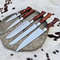 PremiumCustomHandmadeStainlessSteel5PieceKitchenKnivesSetwithChefBBQandButcherKnive