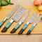 5PieceCustomDamascusSteelChefKnifeSetUnleashCulinaryPrecision 3png