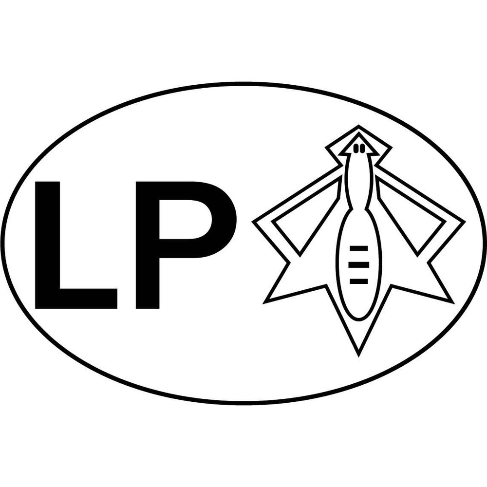LPA 21st Airlift Squadron patch vector file.jpg