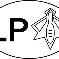 LPA 21st Airlift Squadron patch vector file Black white vector outline or line art file