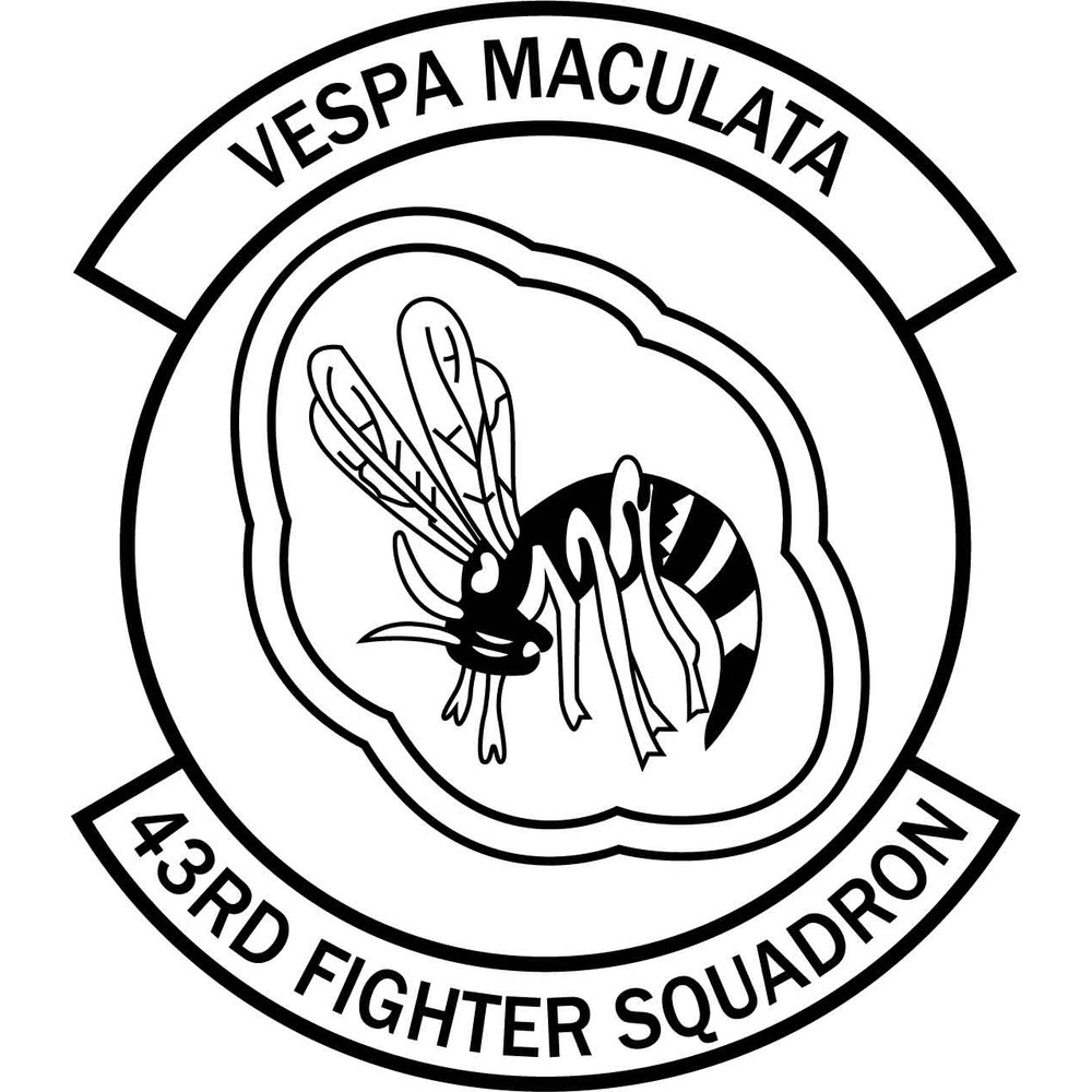 USAF 43rd FIGHTER SQUADRON AIR FORCE EMBLEM VECTOR FILE.jpg