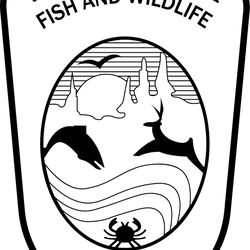 WASHINGTON STATE FISH AND WILDLIFE POLICE PATCH VECTOR FILE Black white vector outline or line art file