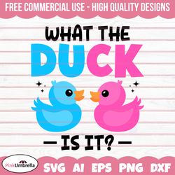 What the Duck is it Gender Reveal Svg Png, Gender Svg, Baby Svg, Girl Or Boy Svg, Baby Reveal Svg, Pink Or blue