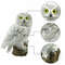 OwlShaped Solar Lamp Waterproof Solar Garden Lights For Outdoor Decoration 6