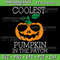 Coolest Pumpkin In The Patch Svg Halloween Svg Fall Svg Distressed Fall Svg Retro Pumpkin Svg Pumpkin Svg File 0