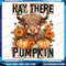 Hay There Pumkin Highland Cow Png Fall Autumn Thanksgiving Png Funny Fall Sublimation Tumbler Hay There Pumpkin 0