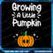 Growing A Little Pumpkin Fall Pregnancy Announcement Png Funny Pregnancy Announcement Trendy Retro  0