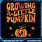 Vintage Growing A Little Pumpkin Thanksgiving Pregnancy Png Fall Pregnancy Announcement Png Hallowe 0