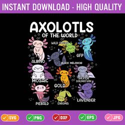axolotl kawaii axolotls of the world axolotl animals svg, baby axolotl svg, back to school png, digital download