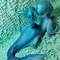 mermaid_163940.jpg
