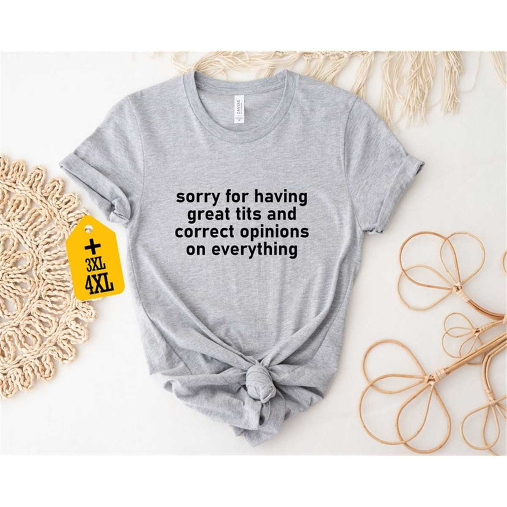 MR-305202313555-sorry-for-having-great-tits-and-correct-opinions-on-everything-image-1.jpg