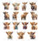 MR-codyfdreher-16122023c35-285202414346.jpeg