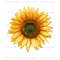 MR-codyfdreher-03012024ht02-285202415311.jpeg
