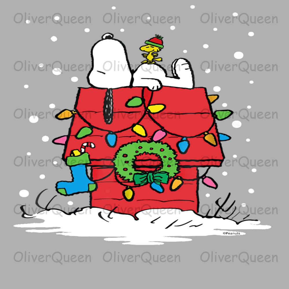 Peanuts Snoopy And Woodstock Stocking Light Up, Christmas PNG, Christmas PNG Sublimation.jpg