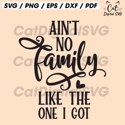 ain't no family like the one i got svg png eps pdf files, family reunion svg, family quotes svg, family love svg, family