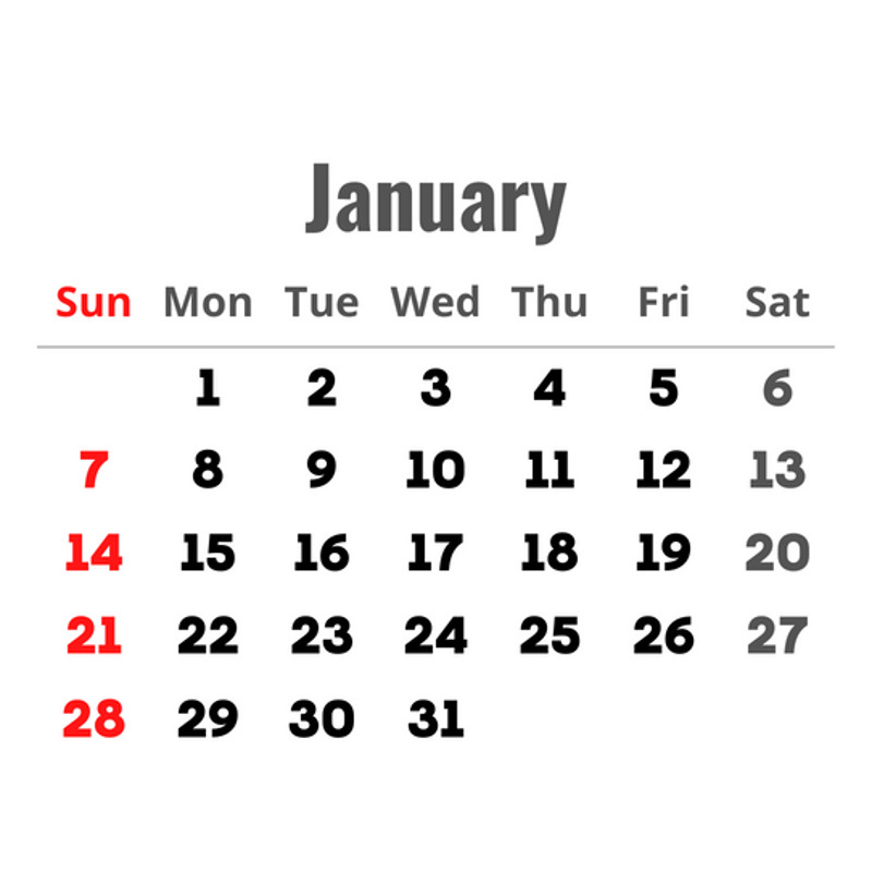 2024 Year Planner.png