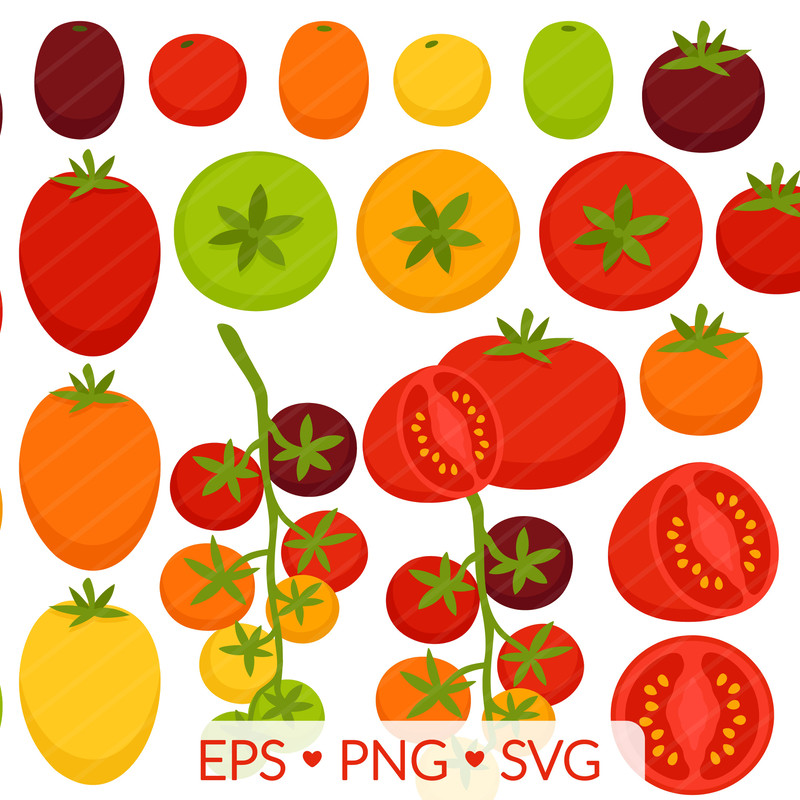 Tomato Clipart SVG PNG EPS Images Vegetable Fruit Garden Gardening Summer Harvest Grow Growing Pl 0