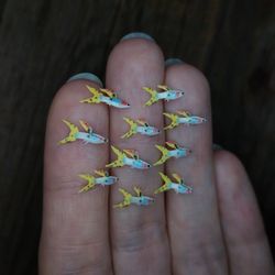 Miniature clay Double Swordtail Guppy 10 pcs, tiny fish for diorama, resin art, display or dollhouse aquarium