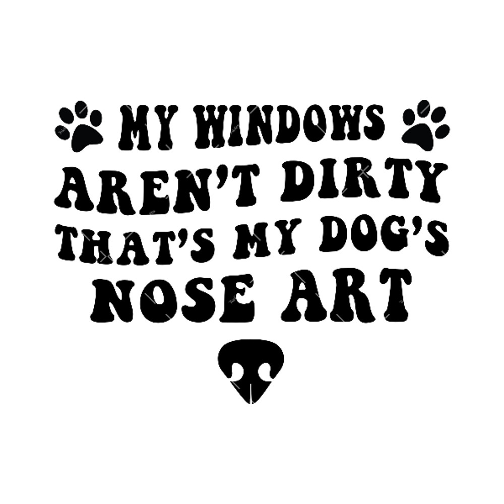 My-windows-arent-dirty-1.jpg