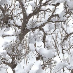 tactical snow camo 86 pattern tileable repeating pattern