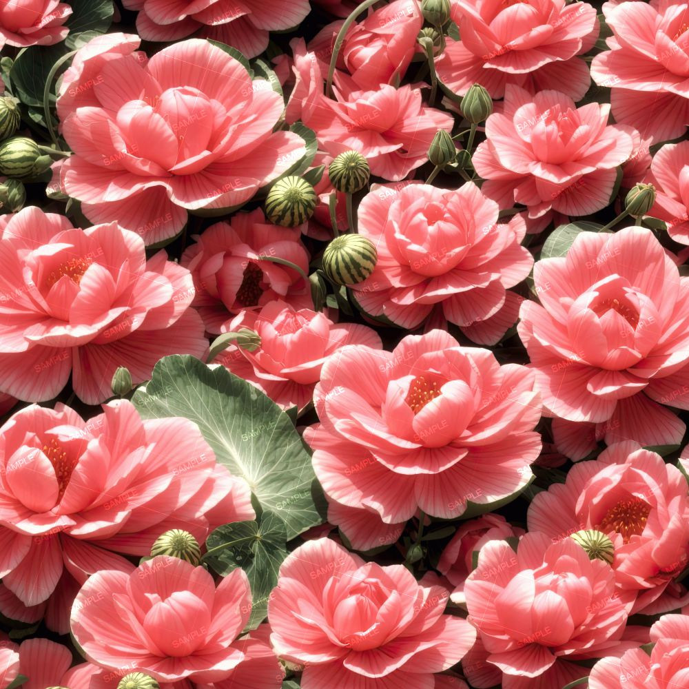 Watermelon Flowers 44.jpg