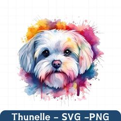 Maltese dog PNG sublimation design Maltese dog instant digital downloads