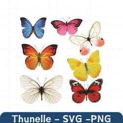 butterfly svg, trending svg, colorful butterfly svg, beautiful butterfly svg, butterfly love svg, butterfly gifts svg, b